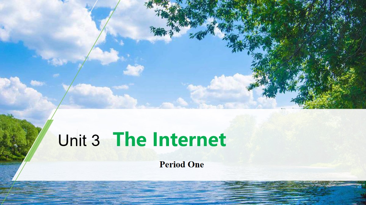 《The Internet》Period One PPT