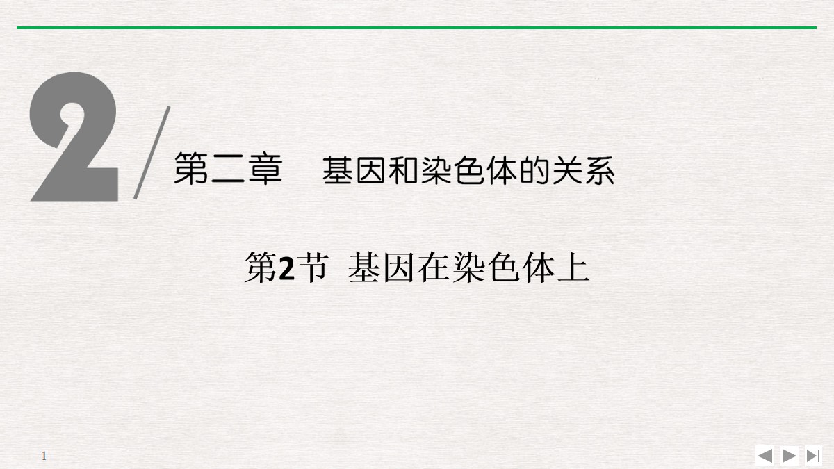 《基因在染色体上》基因和染色体的关系PPT课件