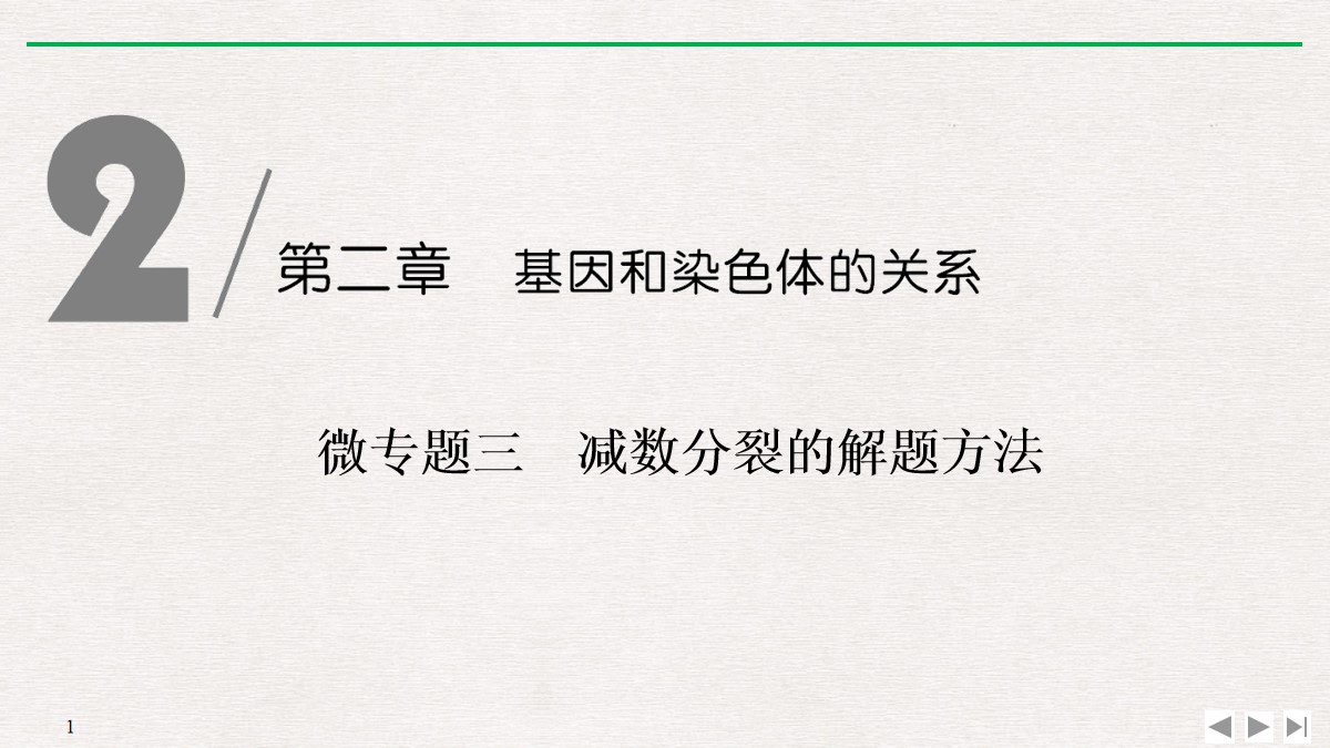 《微专题三 减数分裂的解题方法》基因和染色体的关系PPT课件