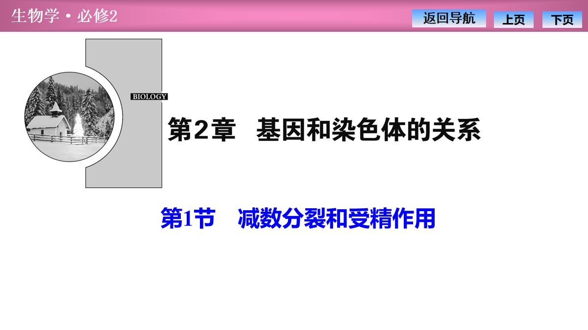 《减数分裂和受精作用》基因和染色体的关系PPT