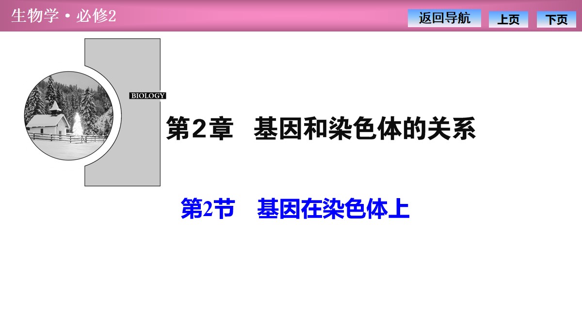 《基因在染色体上》基因和染色体的关系PPT