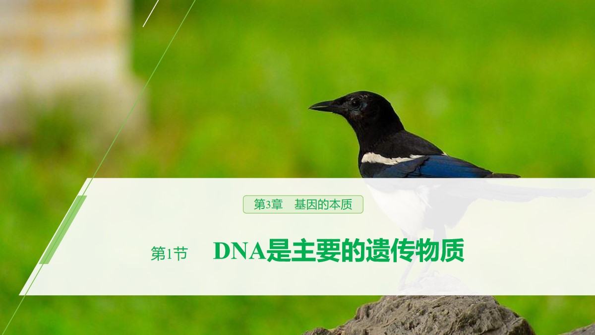 《DNA是主要的遗传物质》基因的本质PPT