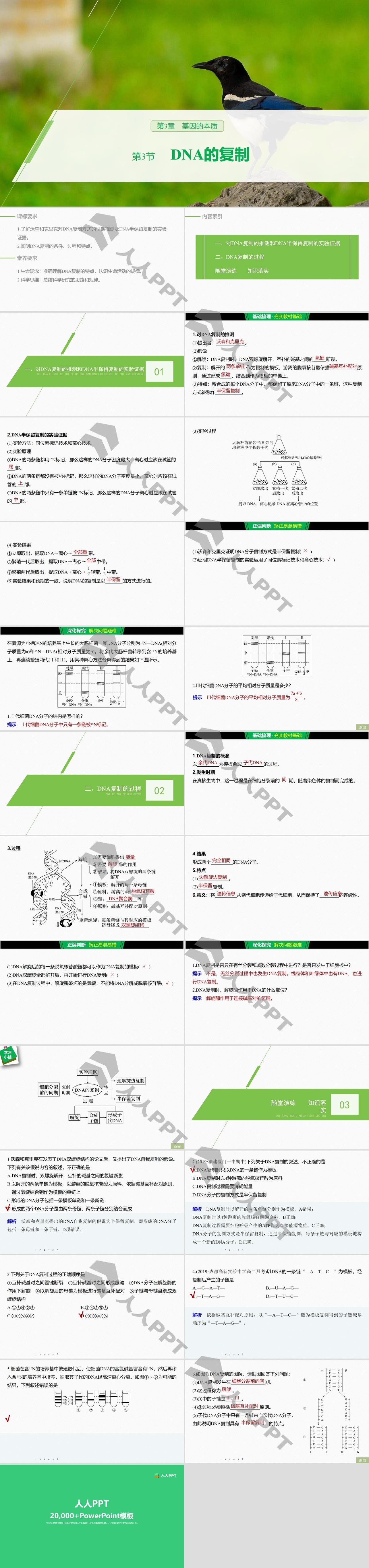 《DNA的复制》基因的本质PPT长图