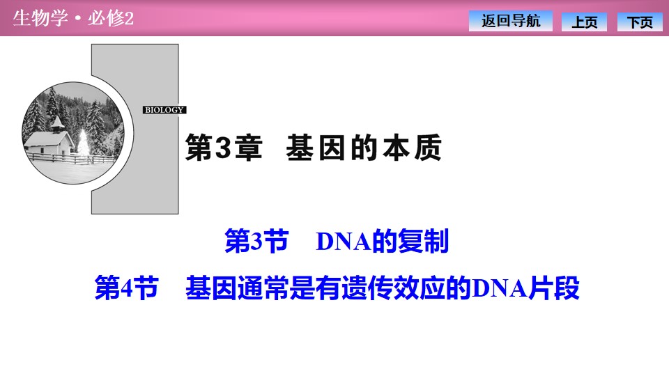 《DNA的复制》《基因通常是有遗传效应的DNA片段》基因的本质PPT课件