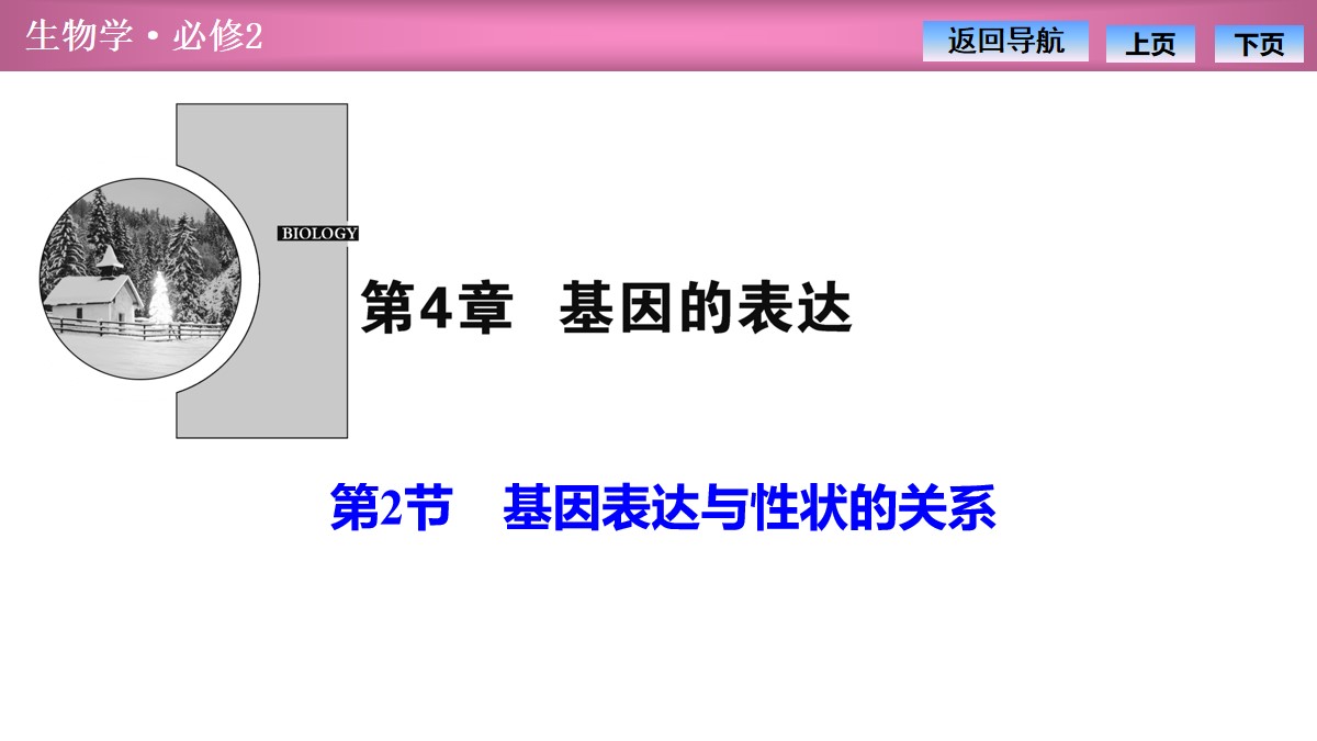 《基因表达与性状的关系》基因的表达PPT