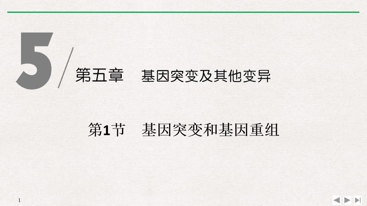 《基因突变和基因重组》基因突变及其他变异PPT课件