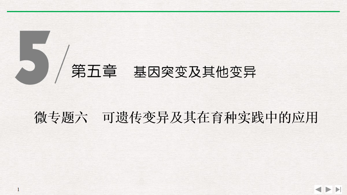 《微专题六 可遗传变异及其在育种实践中的应用》基因突变及其他变异PPT课件