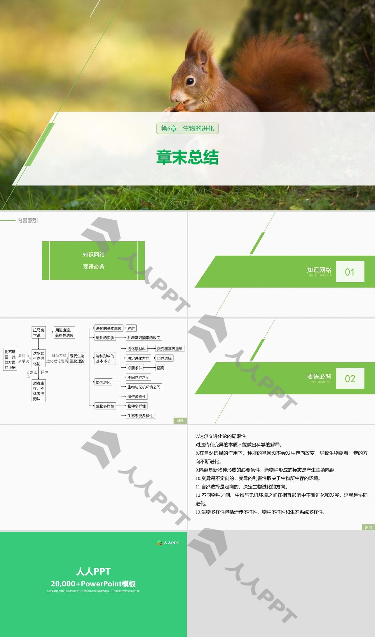 《章末总结》生物的进化PPT长图