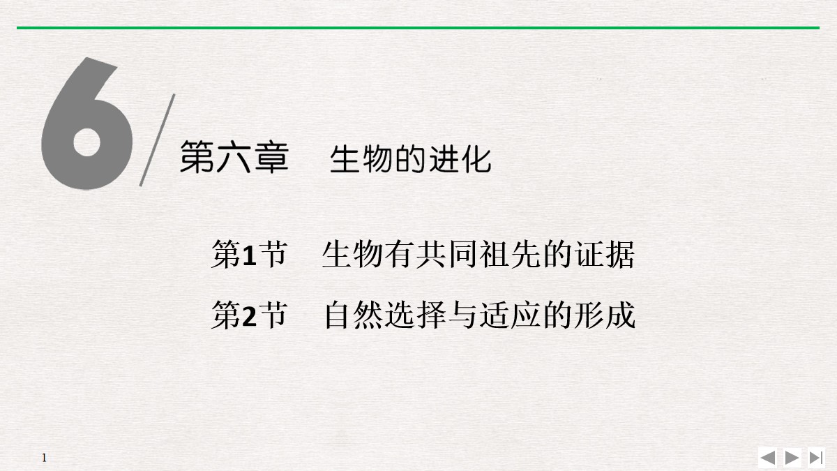 《生物有共同祖先的证据》《自然选择与适应的形成》生物的进化PPT课件