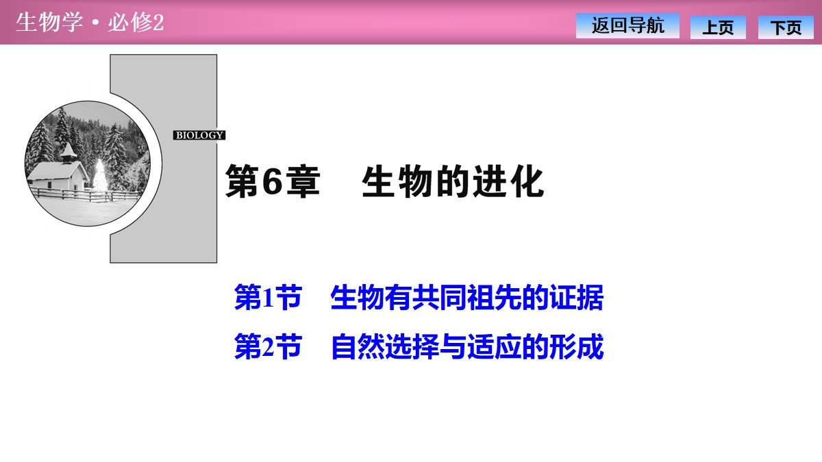 《生物有共同祖先的证据》《自然选择与适应的形成》生物的进化PPT
