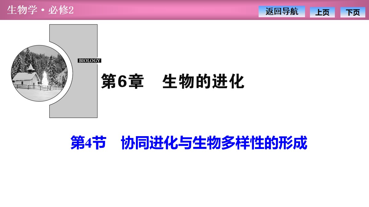 《协同进化与生物多样性的形成》生物的进化PPT