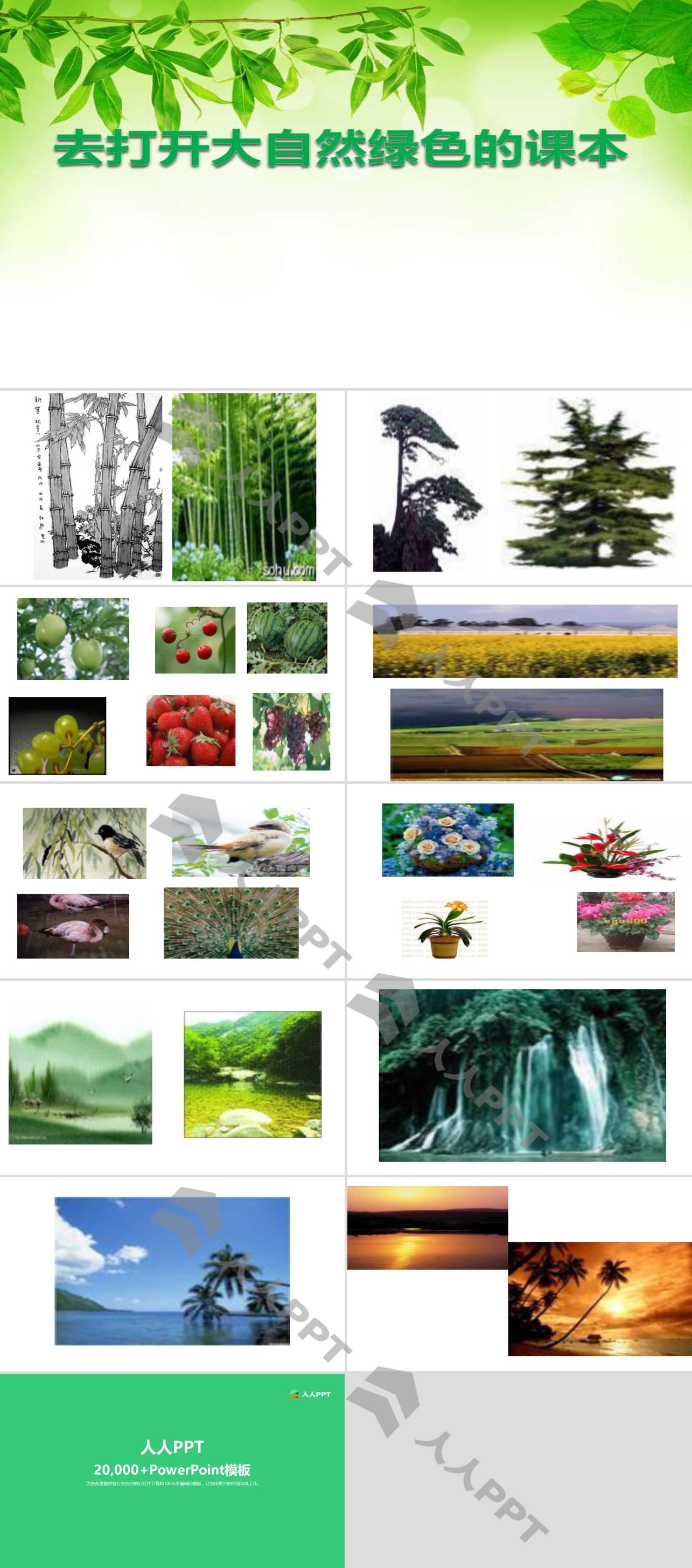 《去打开大自然绿色的课本》PPT课件2长图