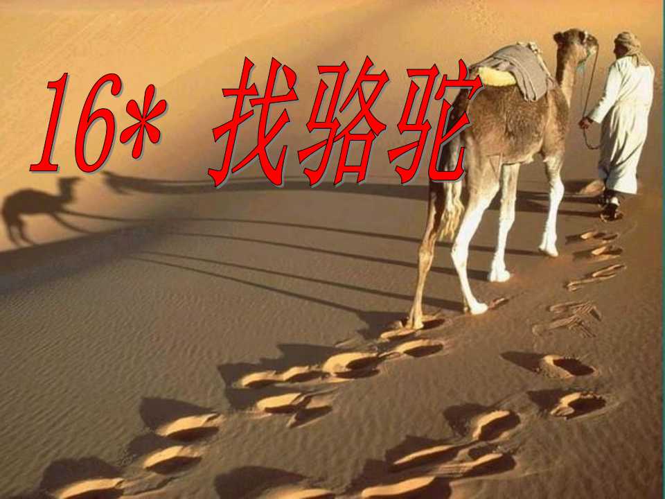 《找骆驼》PPT教学课件5