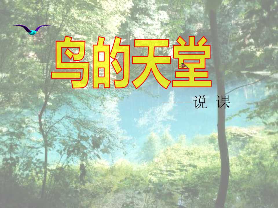 《鸟的天堂》PPT教学课件6