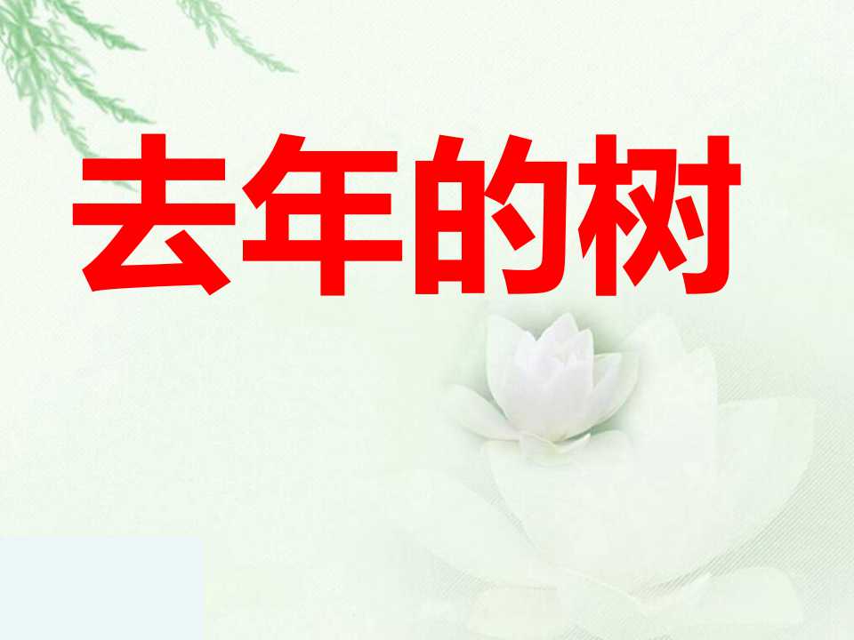 《去年的树》PPT教学课件5