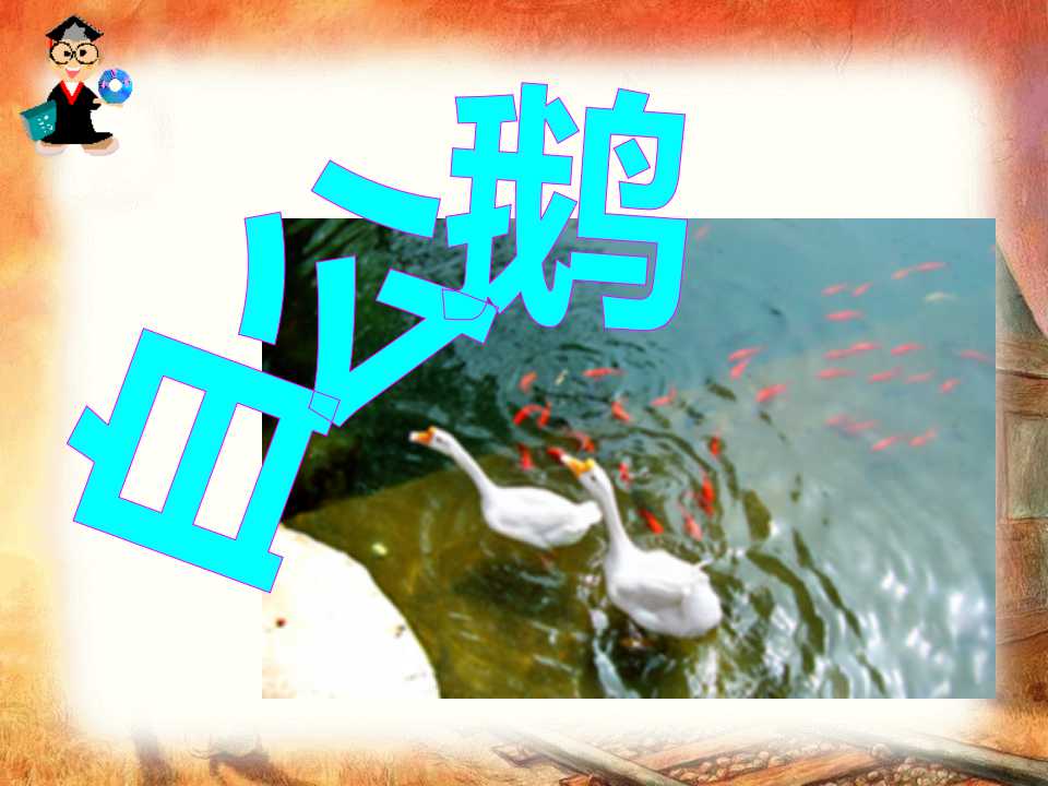 《白公鹅》PPT课件5