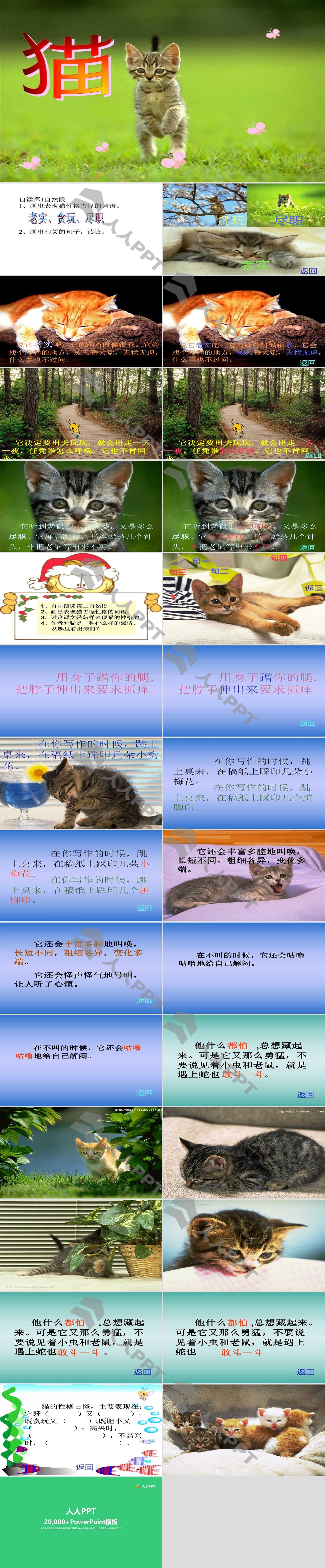 《猫》PPT课件下载4长图