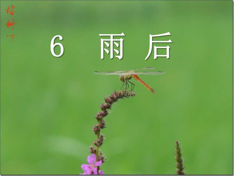 《雨后》PPT课件4