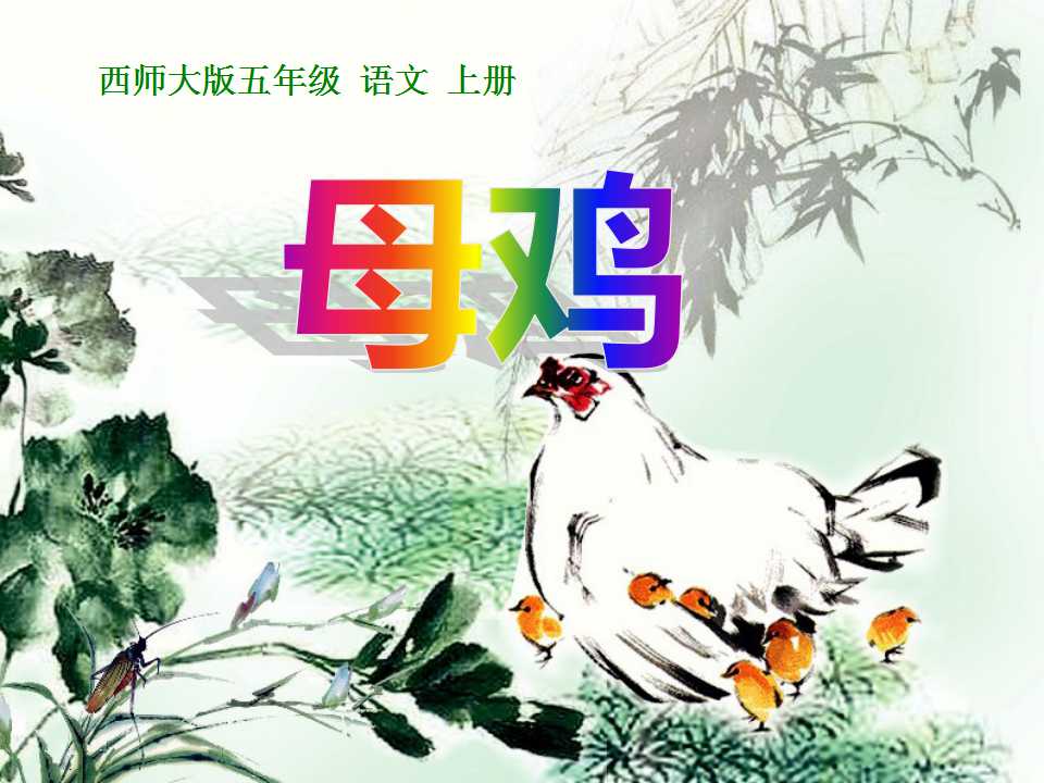 《母鸡》PPT课件2