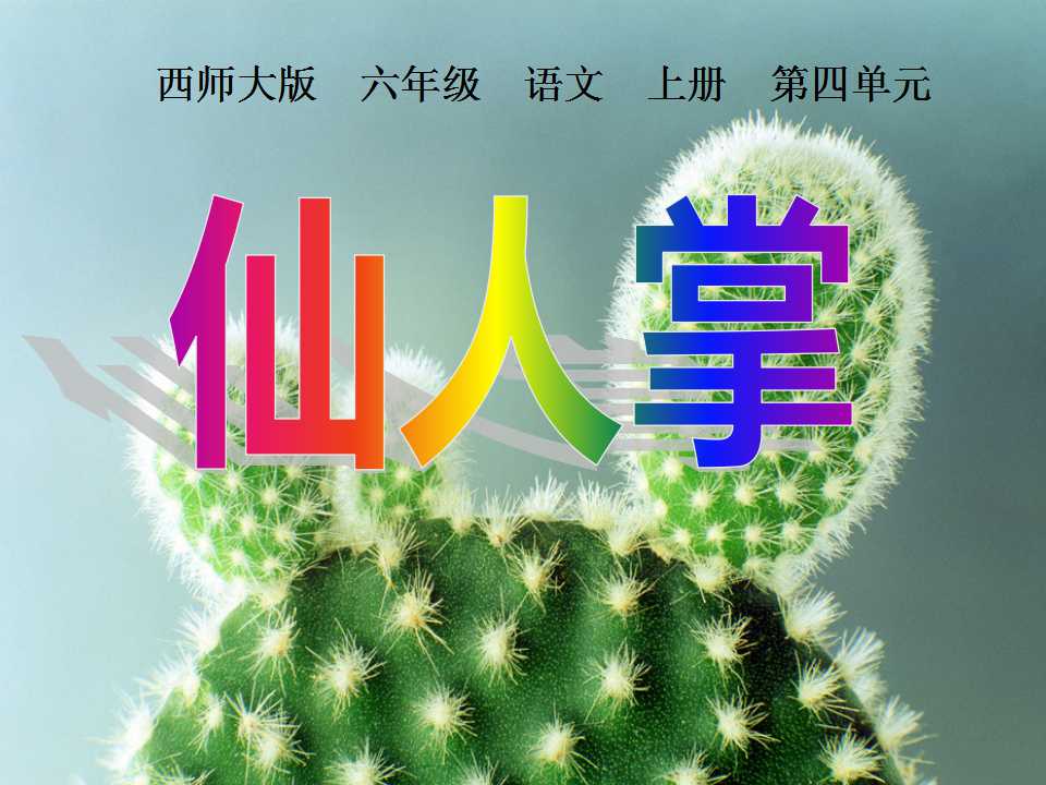 《仙人掌》PPT课件