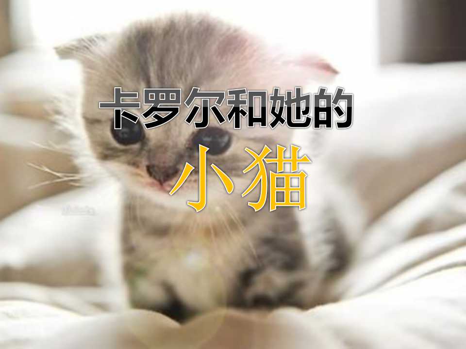 《卡罗尔和她的小猫》PPT课件4