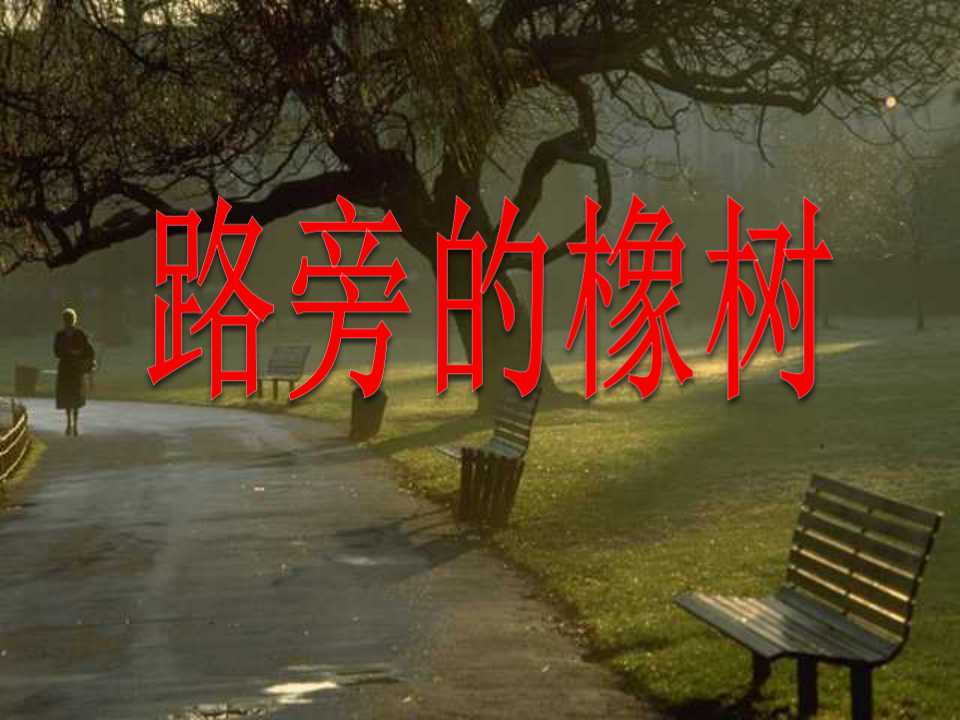 《路旁的橡树》PPT课件