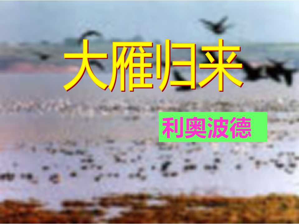 《大雁归来》PPT课件2