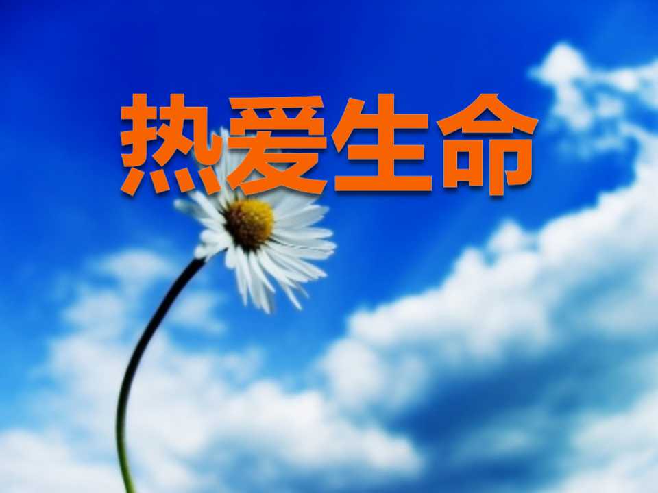 《热爱生命》PPT课件