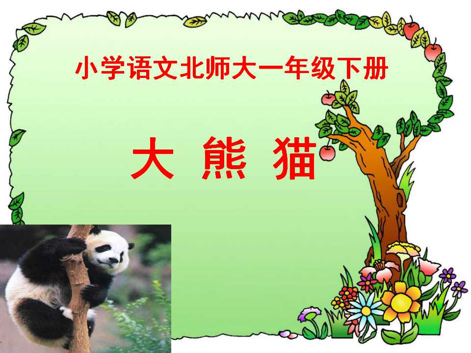 《大熊猫》PPT课件2