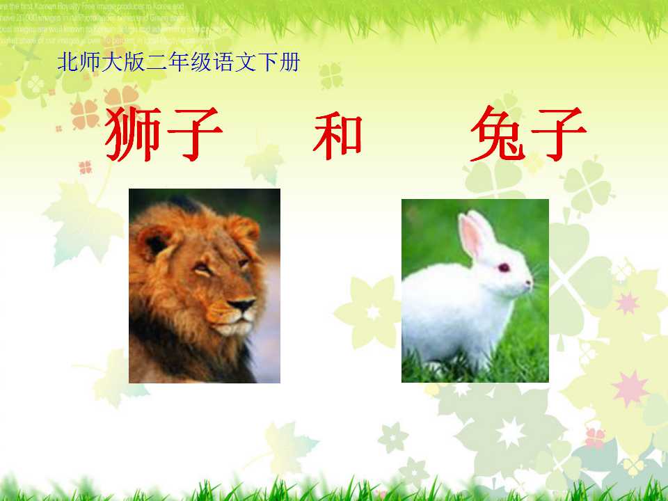 《狮子和兔子》PPT课件2