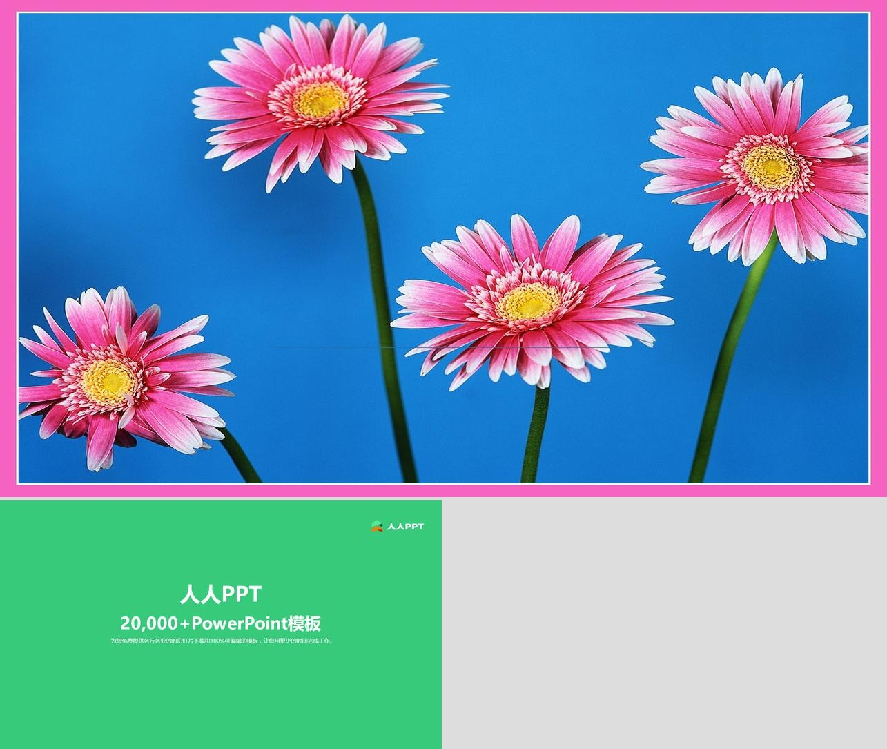粉色花朵植物PPT模板长图