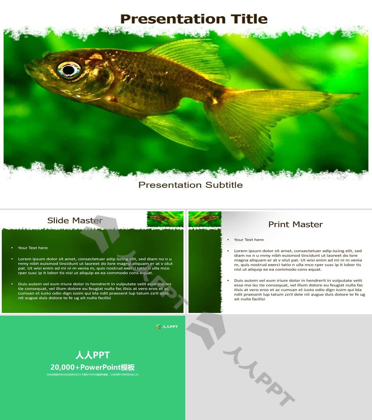 动物――鱼PPT模板长图