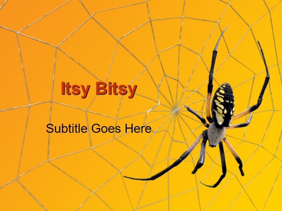蜘蛛与蜘蛛网动物PPT模板