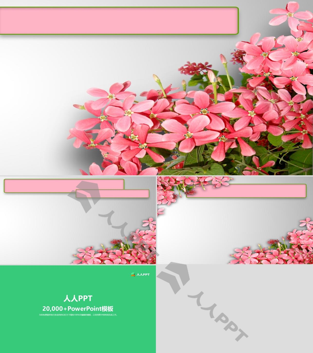 鲜花背景植物主题PPT模板长图
