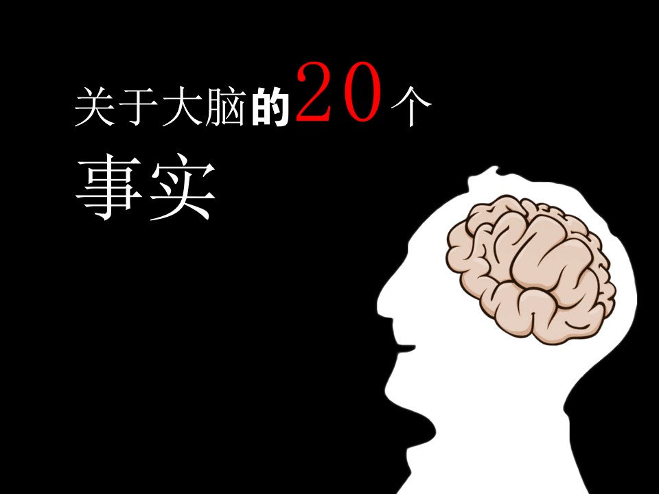 关于大脑的20个事实――了解大脑职场培训的PPT模板