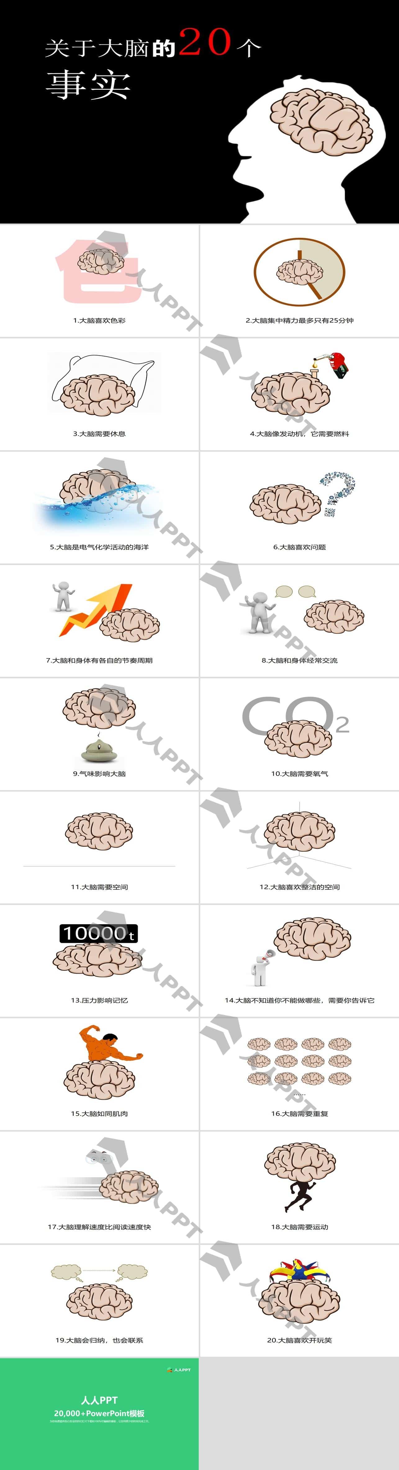 关于大脑的20个事实――了解大脑职场培训的PPT模板长图