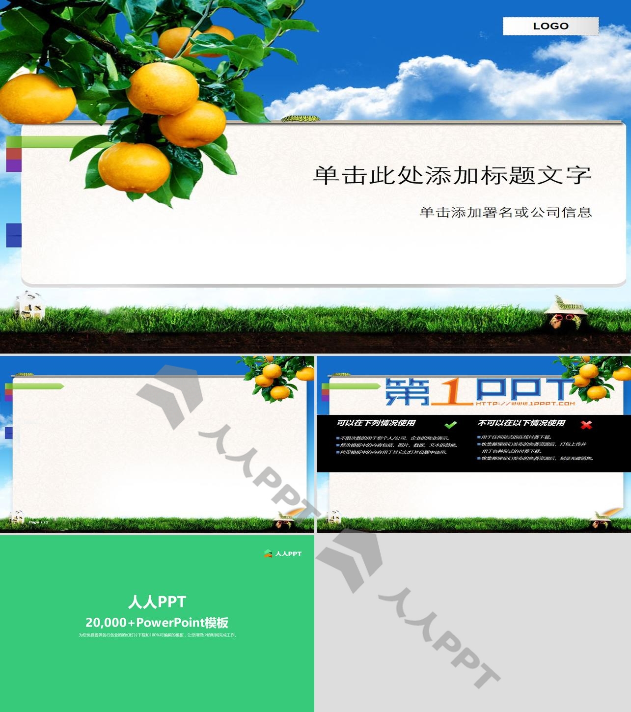 桔子背景的植物水果主题PPT模板长图