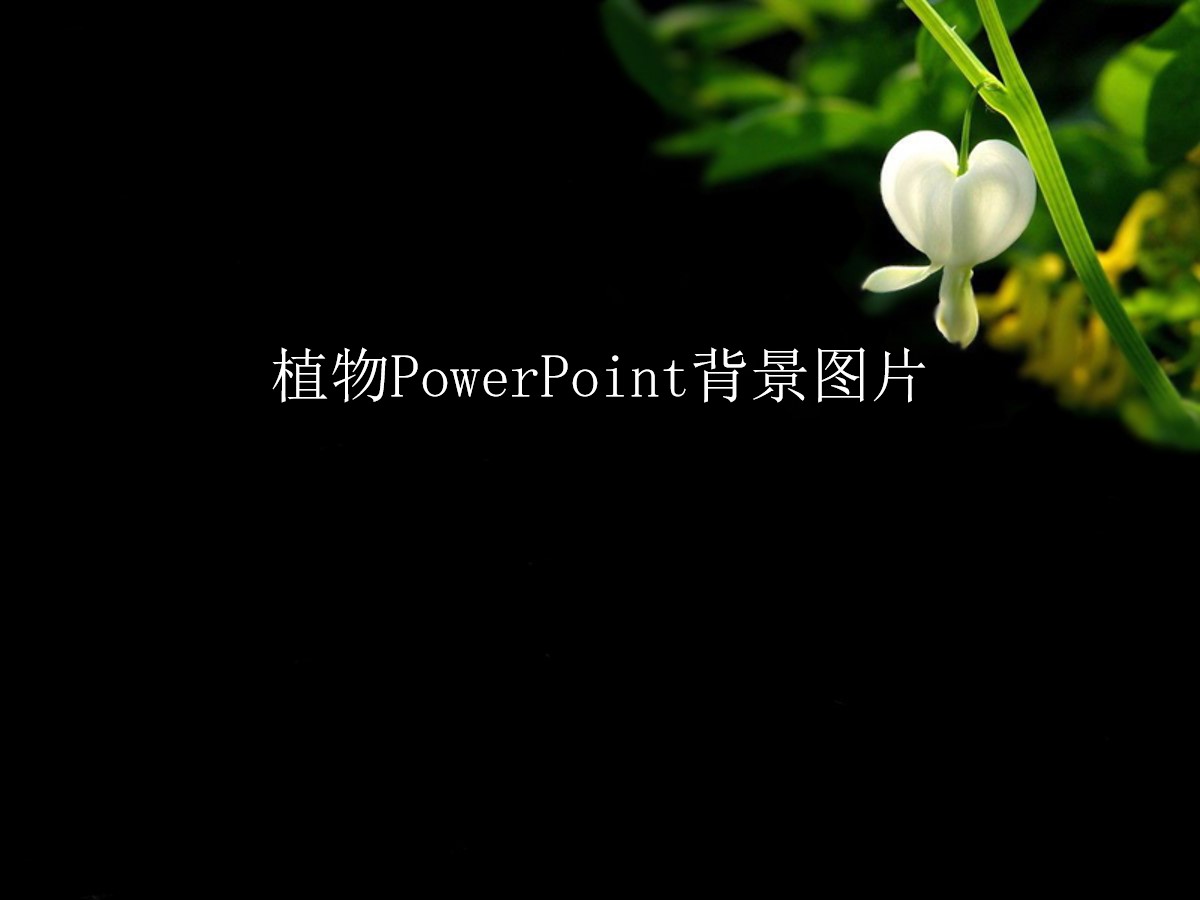 二十二张黑色植物PowerPoint背景图片