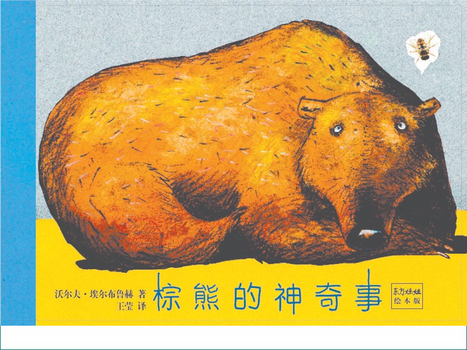 《棕熊的神奇事》儿童绘本故事PPT 精品故事绘本PPT下载