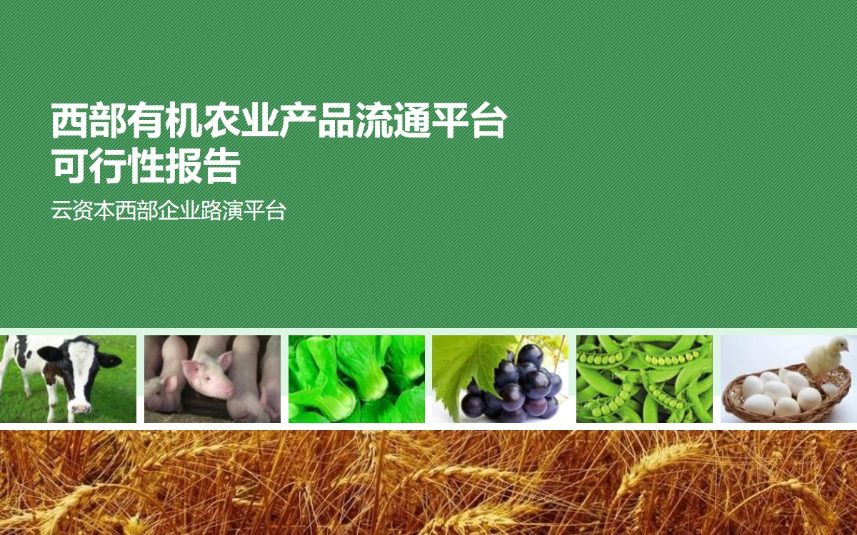 农业产品流通平台分析报告PPT