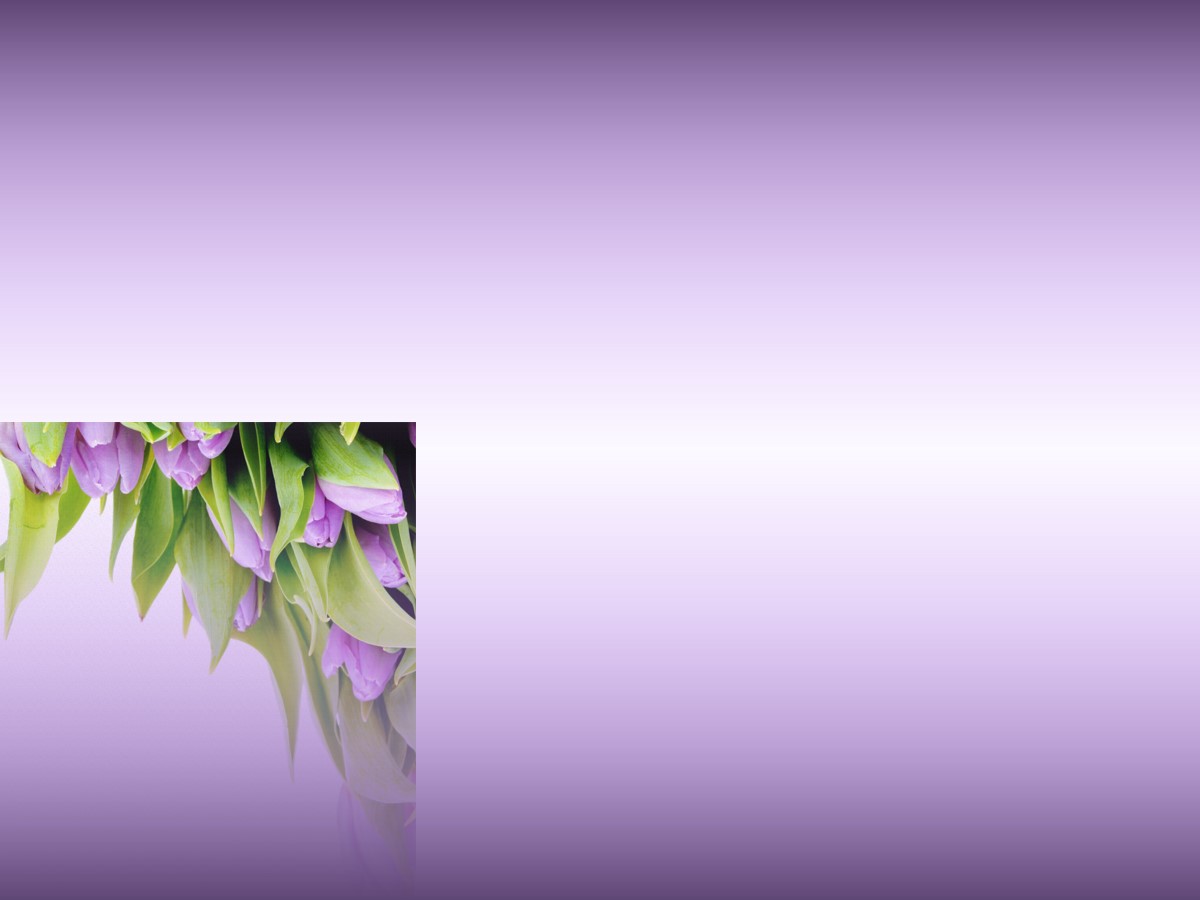 一组紫色郁金香PPT背景图片