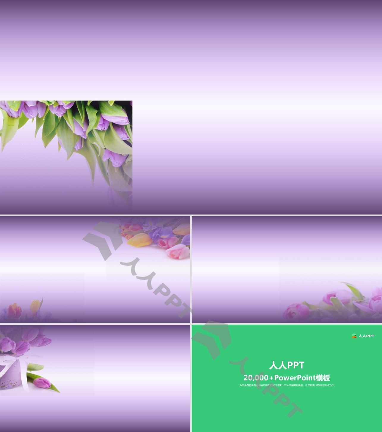 一组紫色郁金香PPT背景图片长图