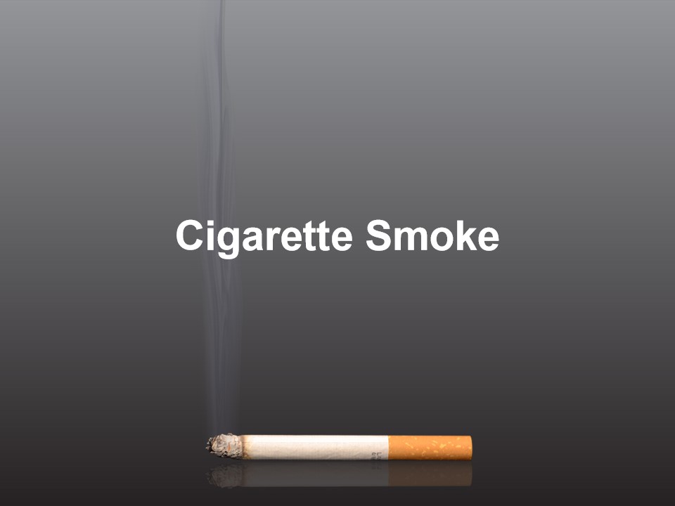 戒烟公益PPT模板