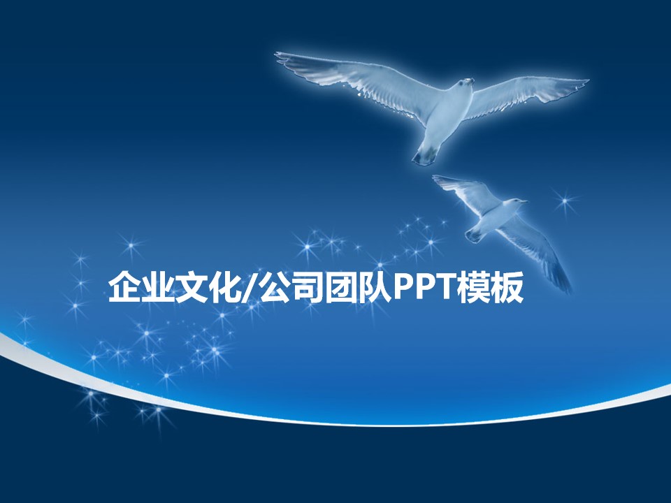 海鸥展翅翱翔适合团队介绍企业文化展示的PPT模板