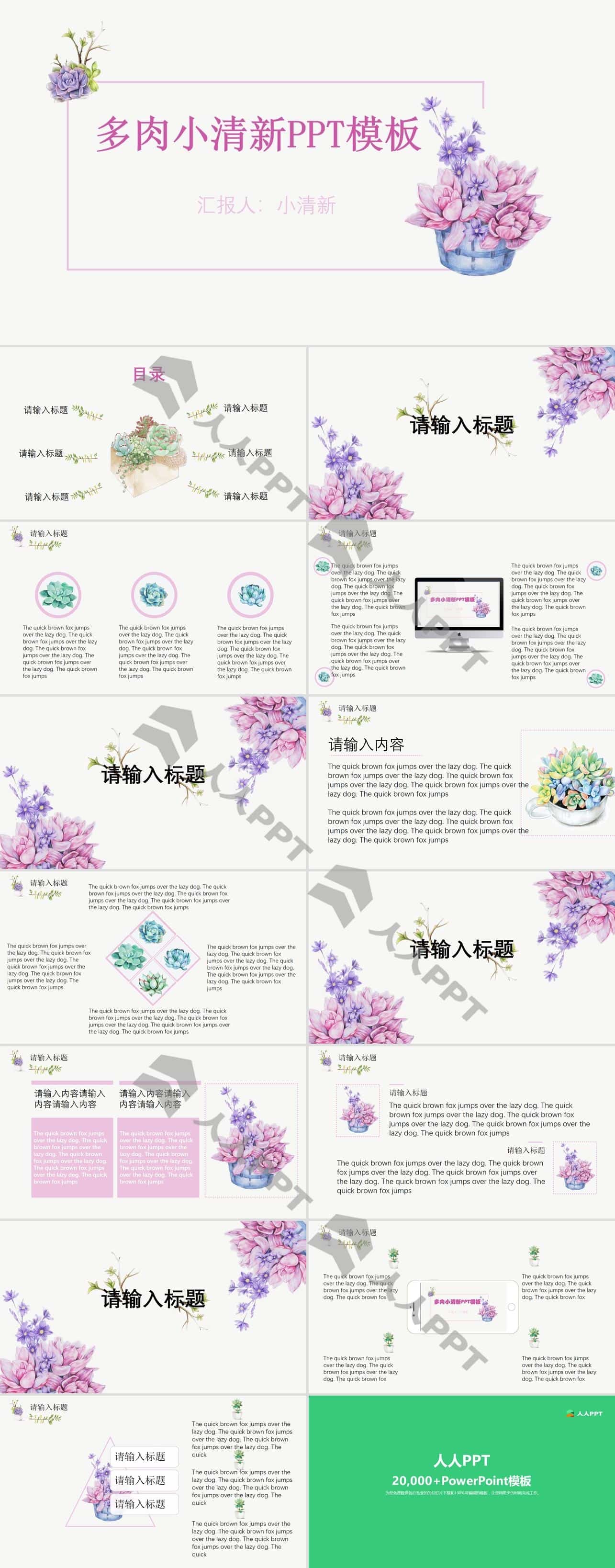 多肉植物花卉小清新可爱系列品种展示介绍PPT模板长图