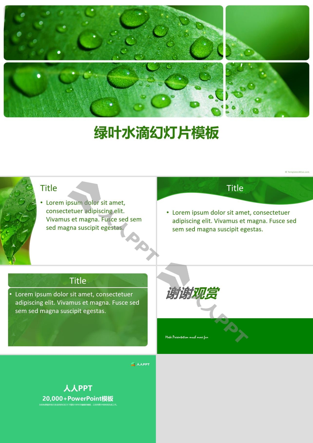 绿色清新的叶子水滴PowerPoint模板长图