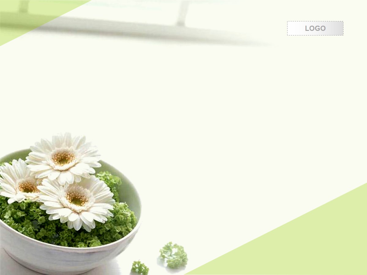 清新淡雅的菊花背景植物幻灯片模板