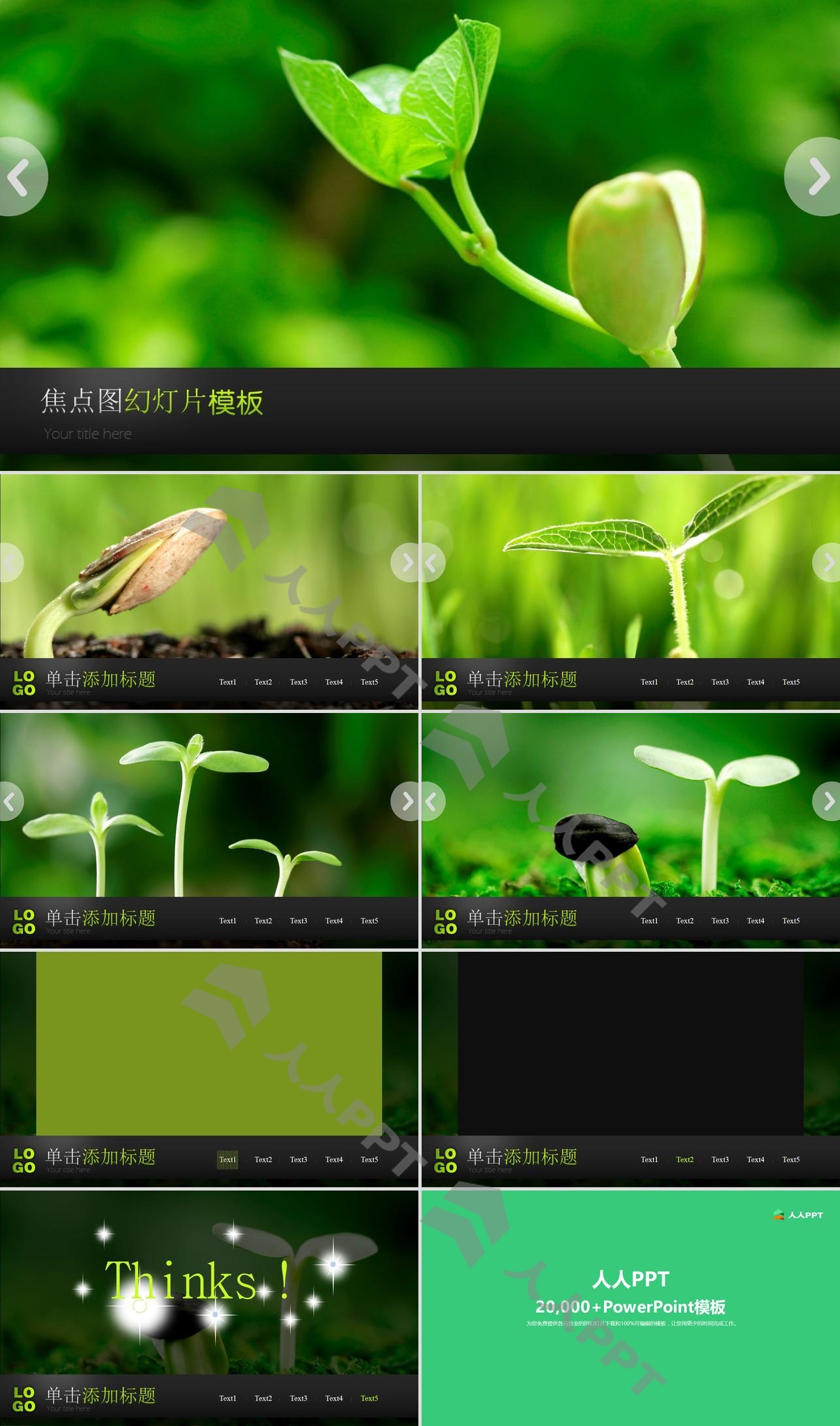 动态绿苗豆芽背景的植物幻灯片模板长图