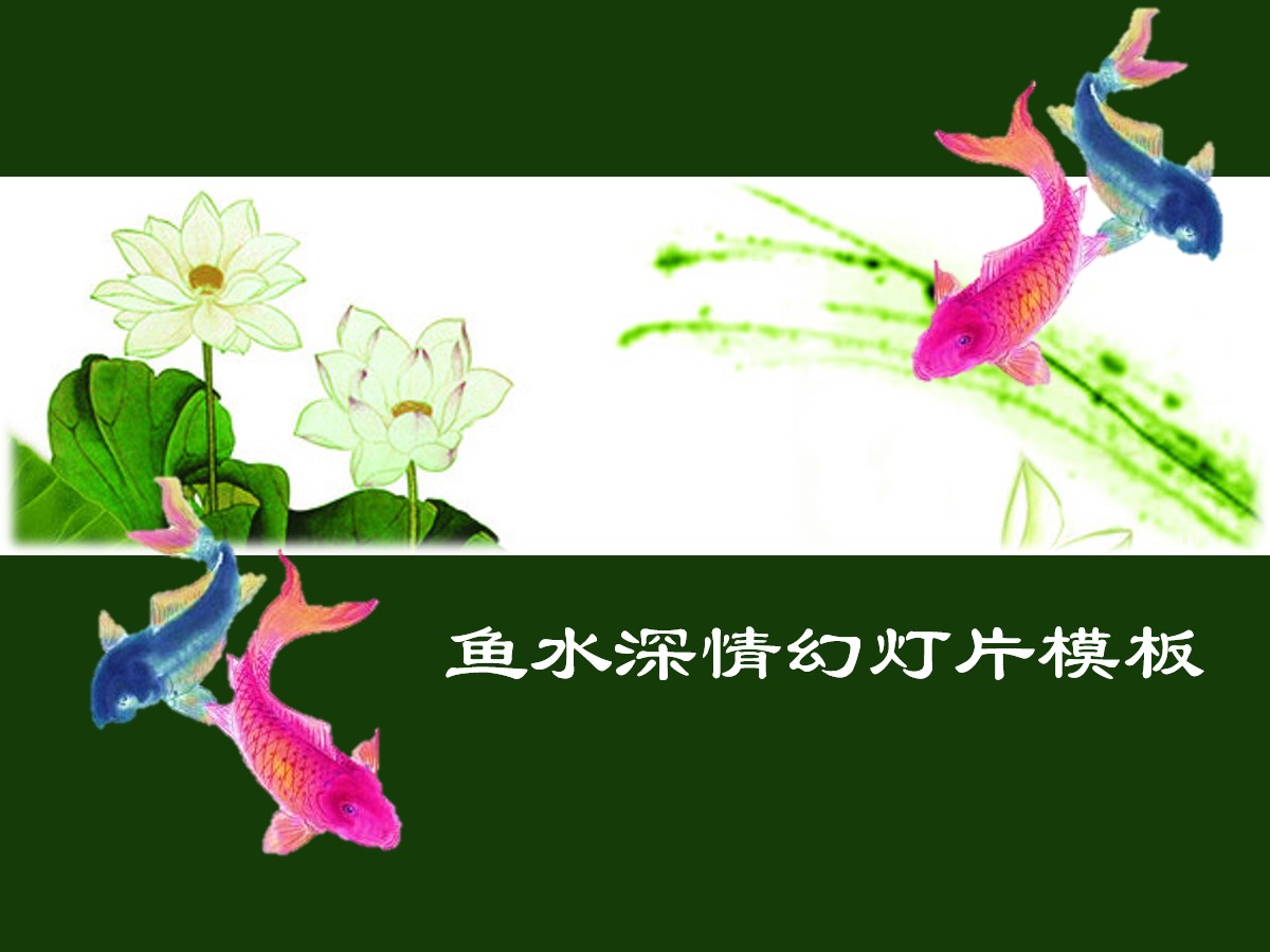 鲤鱼荷花背景的中国风幻灯片模板