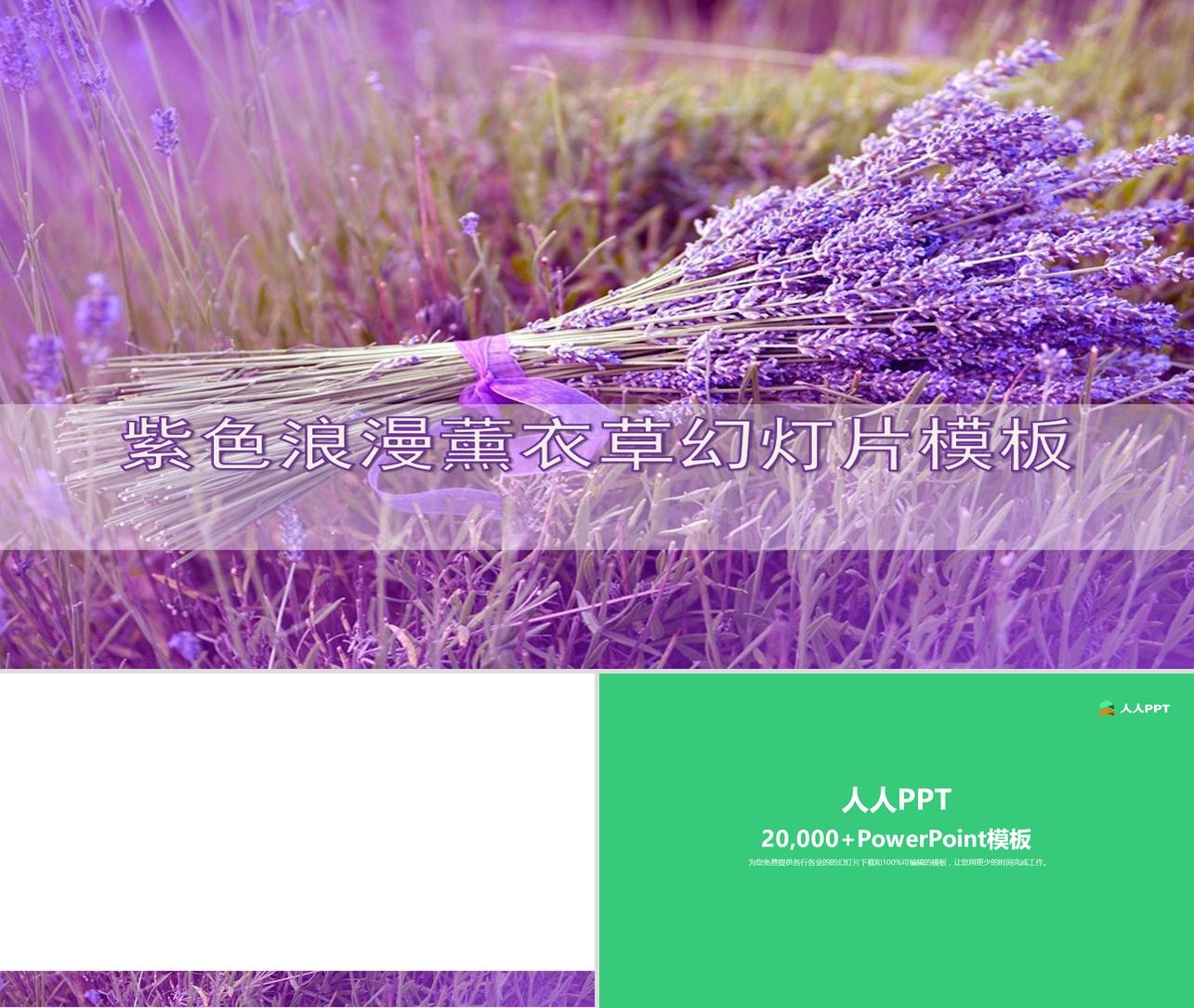 紫色浪漫薰衣草背景植物幻灯片模板长图